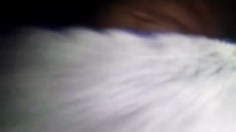 Snapshot of duvanarleyy chatting on October 16, 6:36 am duvanarleyy online show from October 16, 6:36 am