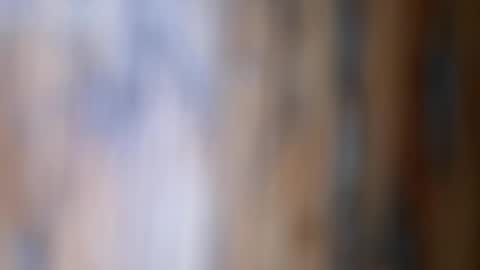 dVe1oPe online show from November 26, 9:54 am