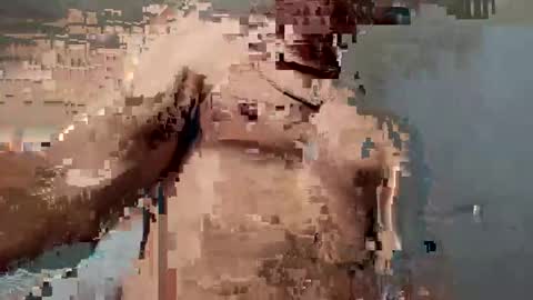 Snapshot of dvsshoes12 chatting on October 12, 11:26 pm dvsshoes12 online show from October 12, 11:26 pm