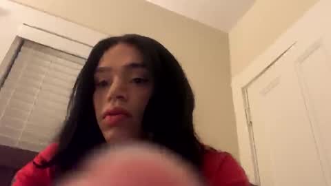 Dynasty online show from December 20, 2:19 am