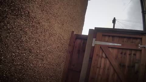 Snapshot of eatmypie69 chatting on February 6, 11:24 am Nadia Ferreira online show from February 6, 11:24 am