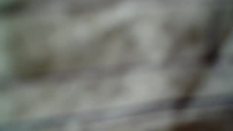 Snapshot of eddfox001 chatting on June 14, 4:47 am eddfox001 online show from June 14, 4:47 am