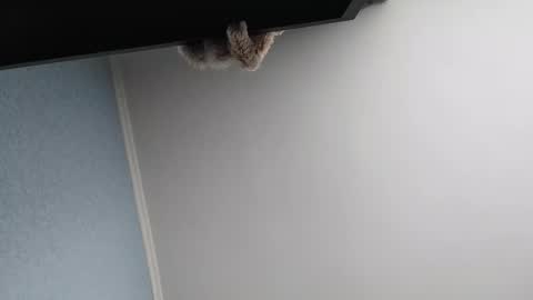 edithmanning online show from March 13, 5:47 am