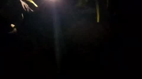 edmore1215 online show from January 14, 10:17 am