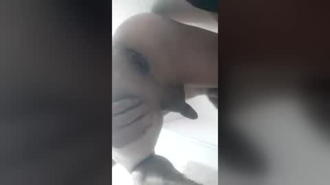 eduardo76391 online show from June 28, 4:29 am