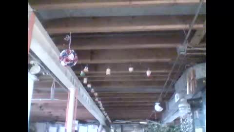 efriff online show from April 18, 7:58 pm