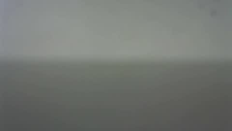 Snapshot of eider122 chatting on February 22, 3:51 am EIder online show from February 22, 3:51 am