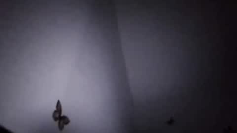 Ekspansion online show from January 8, 4:37 am