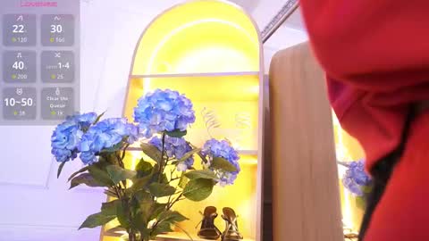 Elasummeer online show from January 7, 12:29 pm