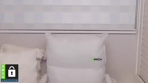 Snapshot of eleanore1 chatting on December 15, 8:51 am eleanore online show from December 15, 8:51 am