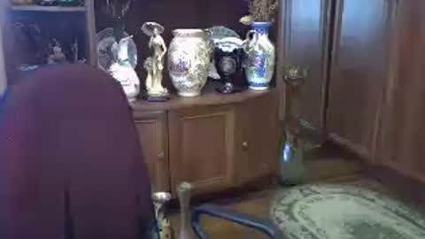 Snapshot of elenazed chatting on July 3, 8:32 am ElenaZed online show from July 3, 8:32 am