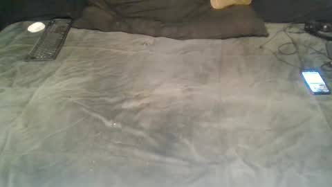 elgsslt online show from January 18, 1:08 pm