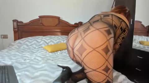 elifgirasol online show from February 15, 11:52 am