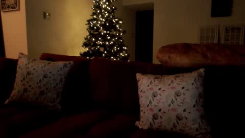 Elinah online show from December 2, 10:53 am