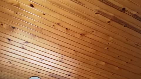 ellalowe online show from March 22, 2:53 pm