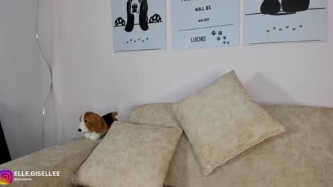 Yiss online show from February 6, 2:00 am