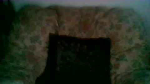 Snapshot of elmo191271 chatting on January 7, 8:06 am elmo191271 online show from January 7, 8:06 am