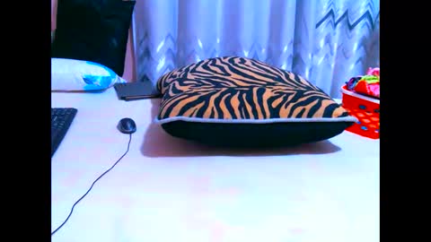 elodielynn online show from May 19, 4:41 am
