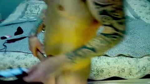 Elpouro online show from March 9, 5:11 am