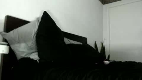 elputoquetegusta online show from December 3, 10:08 pm