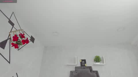 EmiliaRose online show from November 16, 8:47 pm