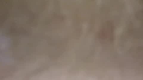 emilmirror online show from February 11, 7:54 am