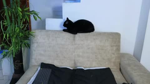 Emma Blue  modelo independiente online show from April 22, 3:53 am