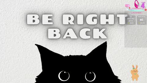   online show from April 14, 11:38 am