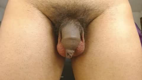 Engiel phoenix instagram engiel 13 online show from January 31, 11:46 am