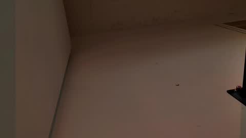 enzo_steel online show from November 3, 7:37 pm