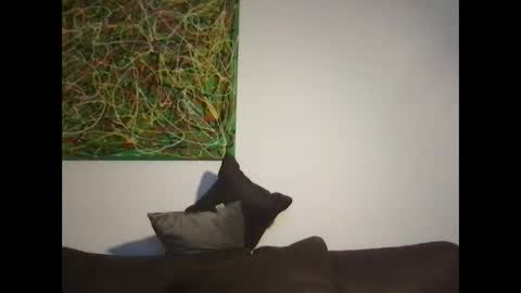 erik_69_69 online show from October 18, 5:14 pm