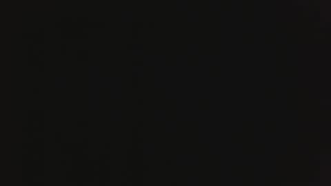 erra311 online show from January 14, 7:47 am