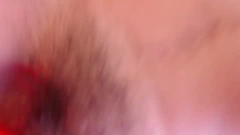 Snapshot of estelamaris1 chatting on January 19, 12:28 pm estelamaris online show from January 19, 12:28 pm