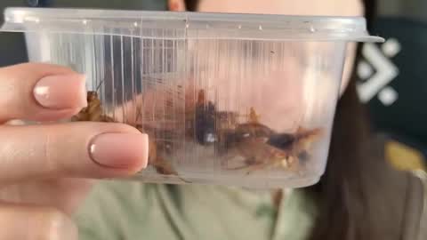 Snapshot of esterhernandes chatting on February 21, 2:07 pm kelt0901 - my channel in telegra online show from February 21, 2:07 pm