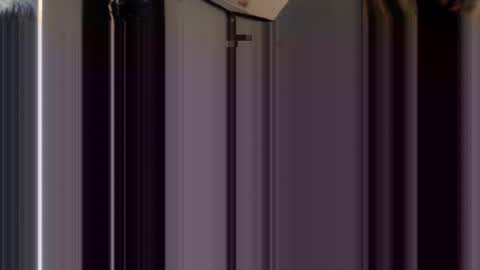 Alexander online show from December 21, 8:38 pm