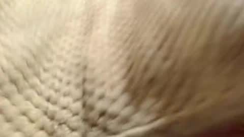 EVA  online show from December 14, 7:29 am