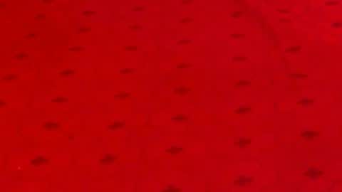 Alana online show from December 9, 12:12 am