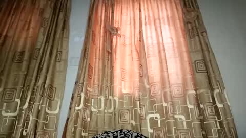 Nina online show from April 11, 7:45 am