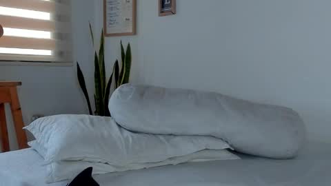 -  A N D E R online show from November 20, 9:25 pm