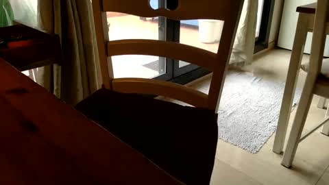 Snapshot of fabro45 chatting on March 6, 3:13 pm Fabro online show from March 6, 3:13 pm