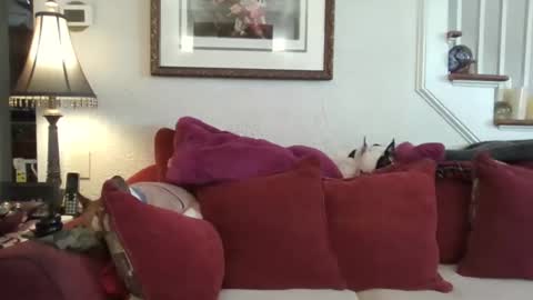 Snapshot of fairmount31 chatting on February 13, 1:51 pm fairmount31 online show from February 13, 1:51 pm