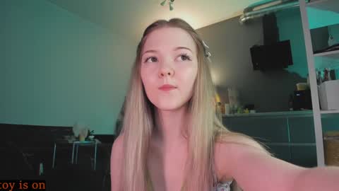 Snapshot of fairy_casey chatting on December 3, 8:06 pm fairy_casey online show from December 3, 8:06 pm