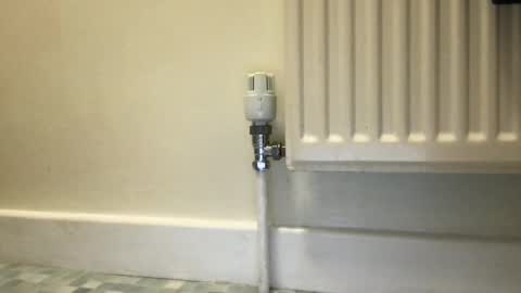 Snapshot of fantacyland chatting on December 3, 9:55 am Alex online show from December 3, 9:55 am