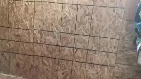 farrisshane1985 online show from April 7, 2:23 am