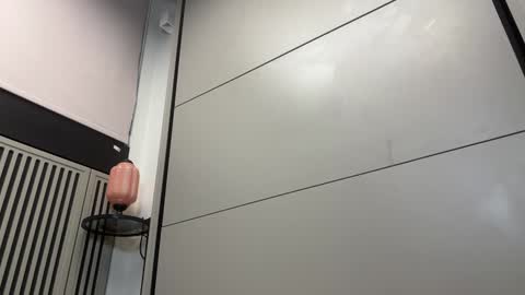 Gattino online show from December 13, 12:06 pm