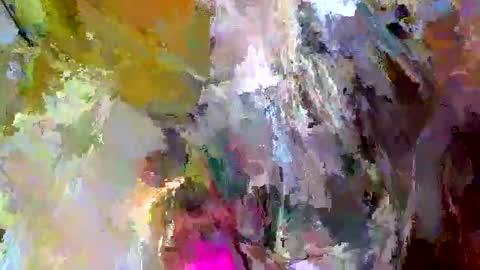 Gattino online show from September 13, 1:00 pm