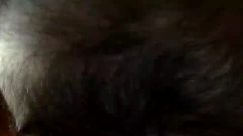 Snapshot of faststr0ker10 chatting on December 21, 9:11 pm FastStr0ker10 online show from December 21, 9:11 pm