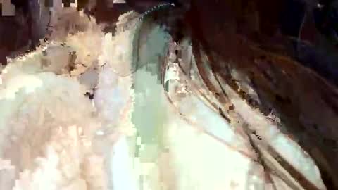 fdaops online show from January 11, 6:57 pm