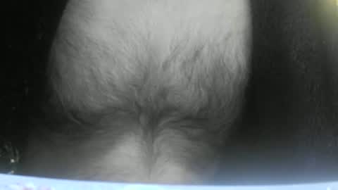 Snapshot of feardubh chatting on February 10, 9:04 am feardubh online show from February 10, 9:04 am