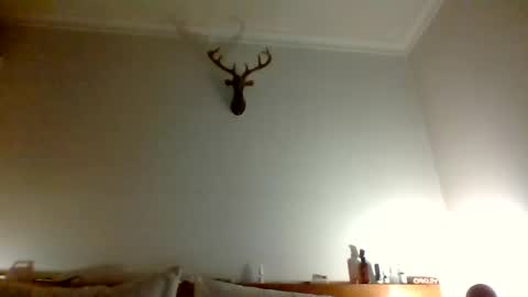 felipesmg2 online show from June 11, 9:57 pm
